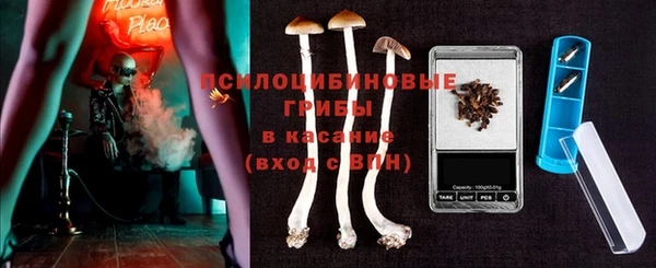 амф Алексин