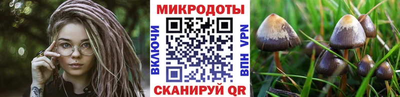 гидра ONION  Игарка  Псилоцибиновые грибы ЛСД 